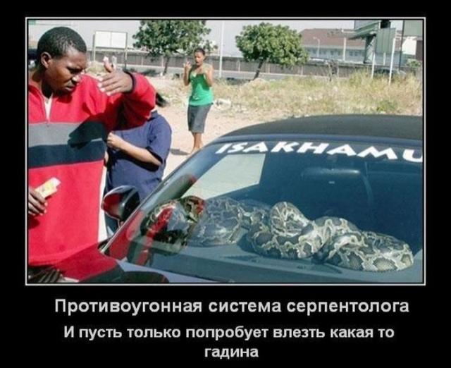 Демотиваторы (30 фото)