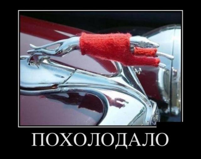 Демотиваторы (30 фото)