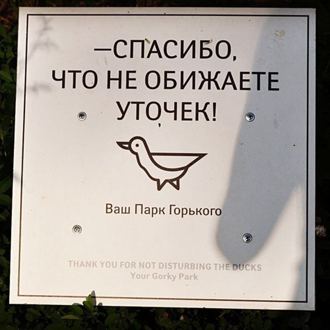 Забавные картинки