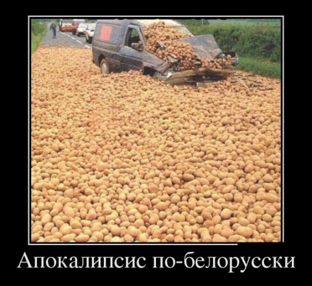 Демотиваторы (30 фото)