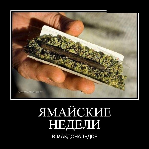 Демотиваторы (30 фото)