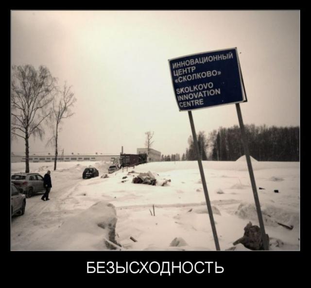 Демотиваторы (30 фото)