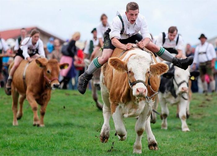 Забавные картинки