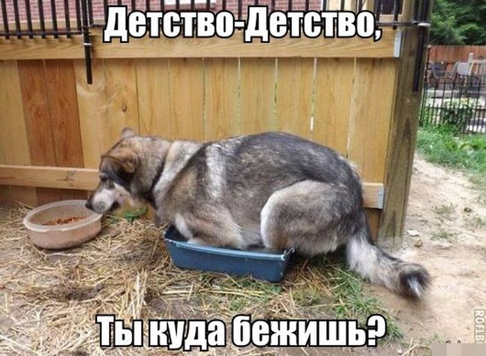 Забавные картинки