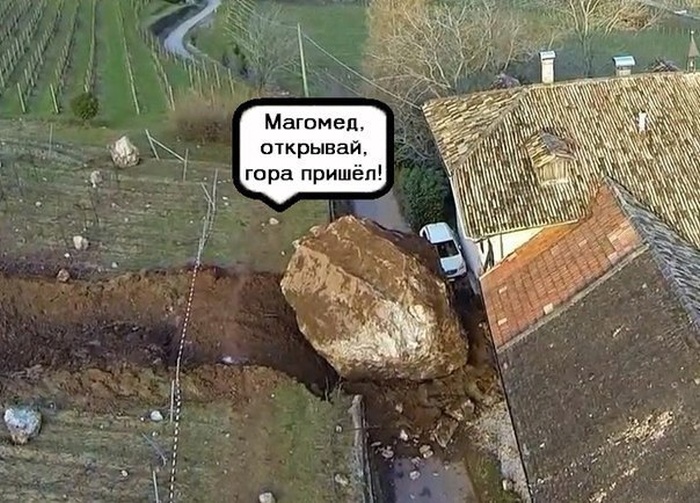 Забавные картинки