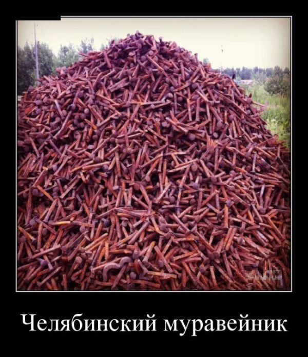 Демотиваторы (30 фото)