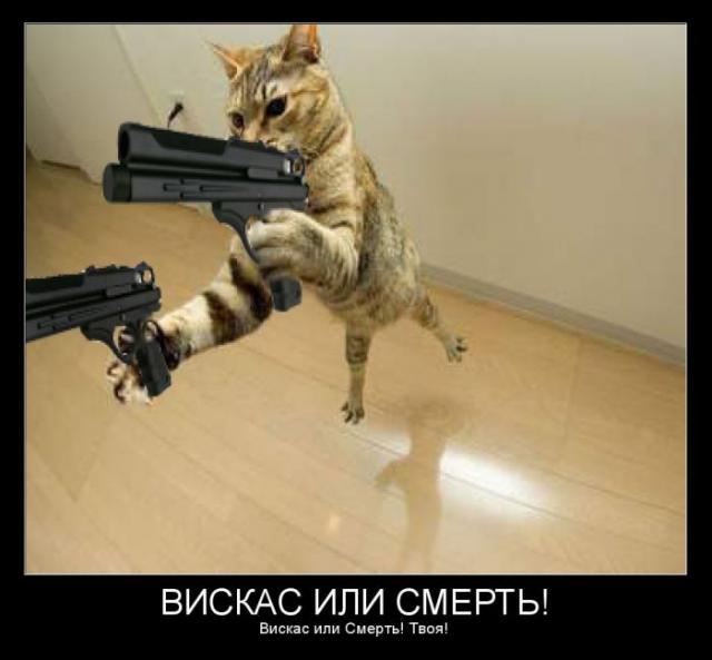 Демотиваторы (30 фото)