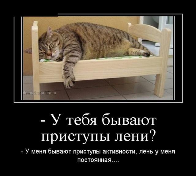 Демотиваторы (30 фото)