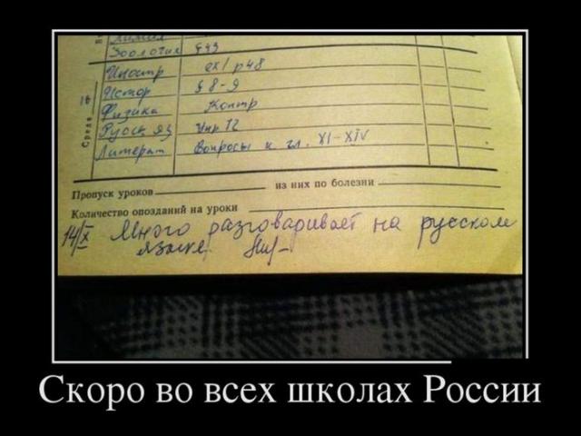 Демотиваторы (30 фото)