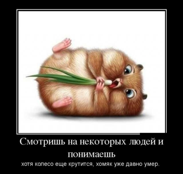 Демотиваторы (30 фото)