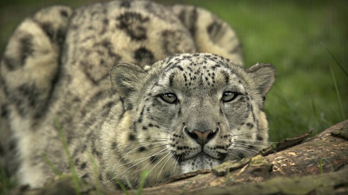 Обои на рабочий стол /HD Computer Wallpaper 14