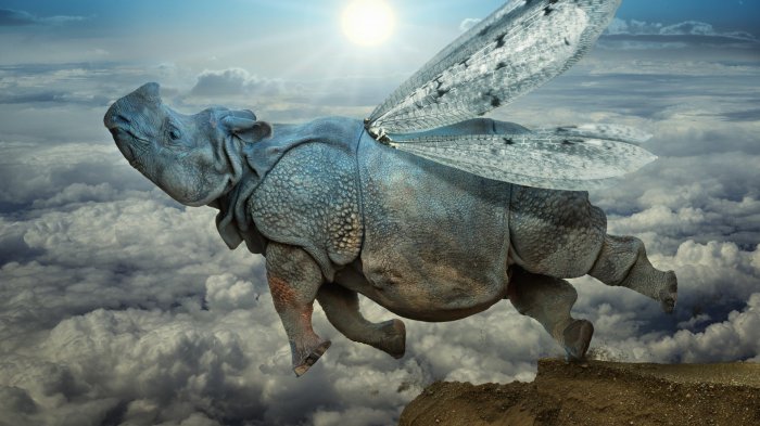 Обои на рабочий стол /HD Computer Wallpaper 14