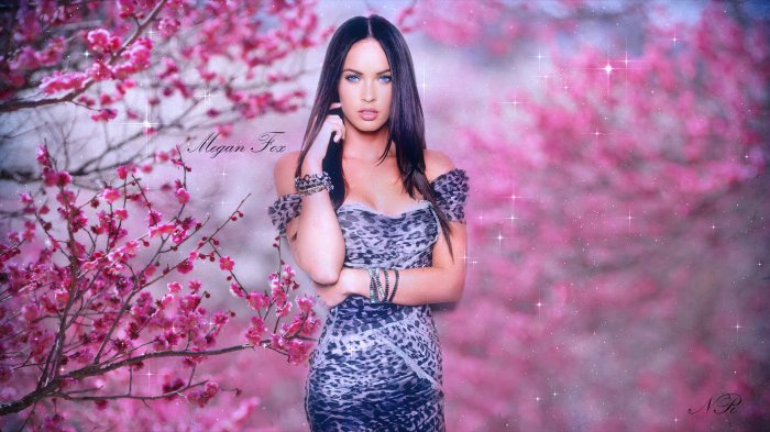 Обои на рабочий стол /HD Computer Wallpaper 14