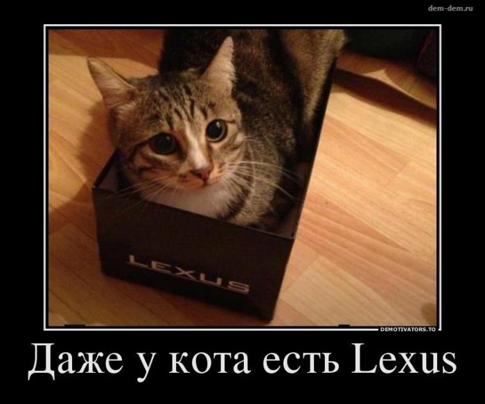 Жиденькая подборка вяло-прикольных картинок №3