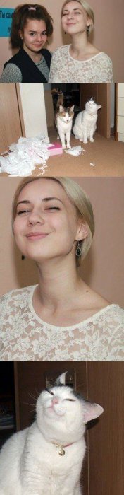 Забавные картинки