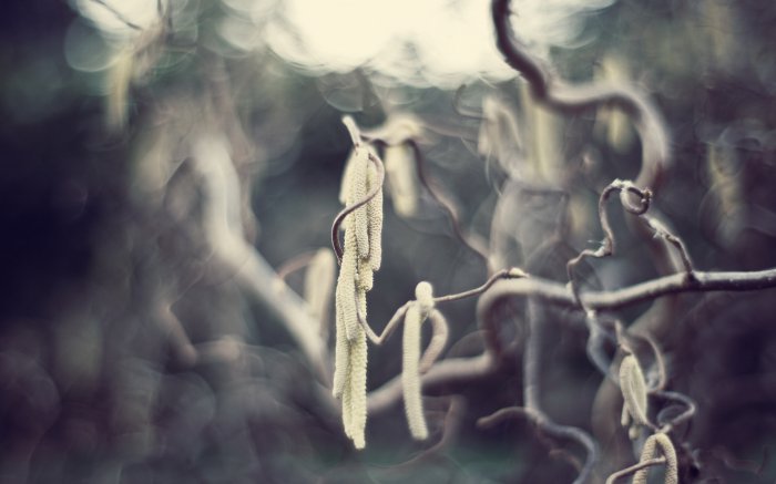 Обои на рабочий стол /Computer Desktop Wallpapers Collection 856