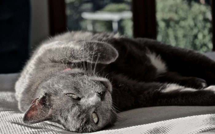 Обои на рабочий стол /Computer Desktop Wallpapers Collection 856