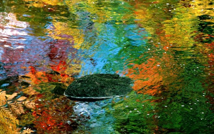 Обои на рабочий стол /Computer Desktop Wallpapers Collection 856