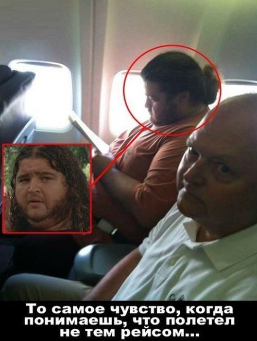 Забавные картинки