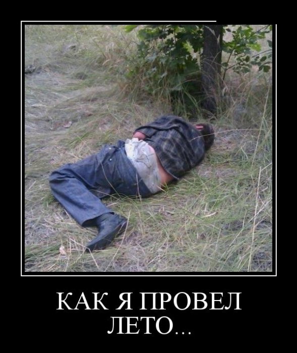 Демотиваторы (30 фото)