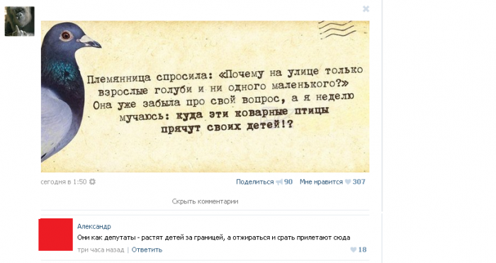 Забавные картинки