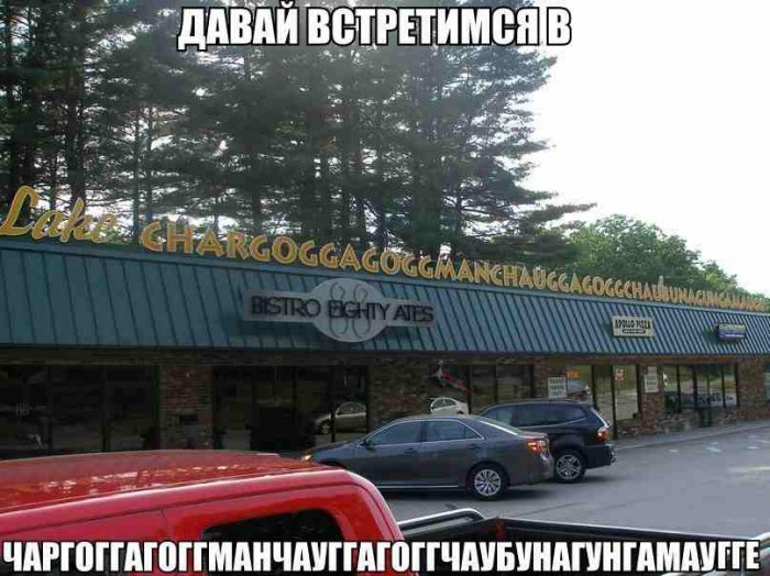 Забавные картинки