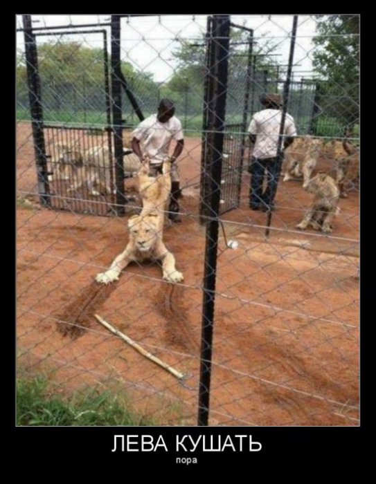 Демотиваторы - 149