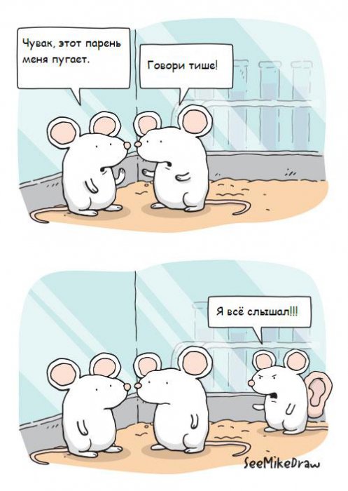 Забавные картинки