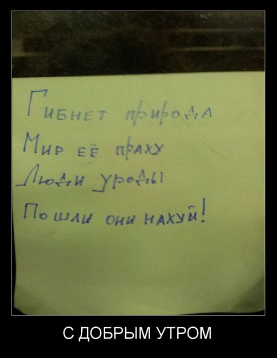 Демотиваторы (30 фото)