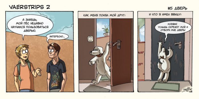 Забавные картинки