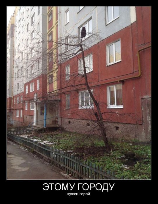 Демотиваторы (30 фото)