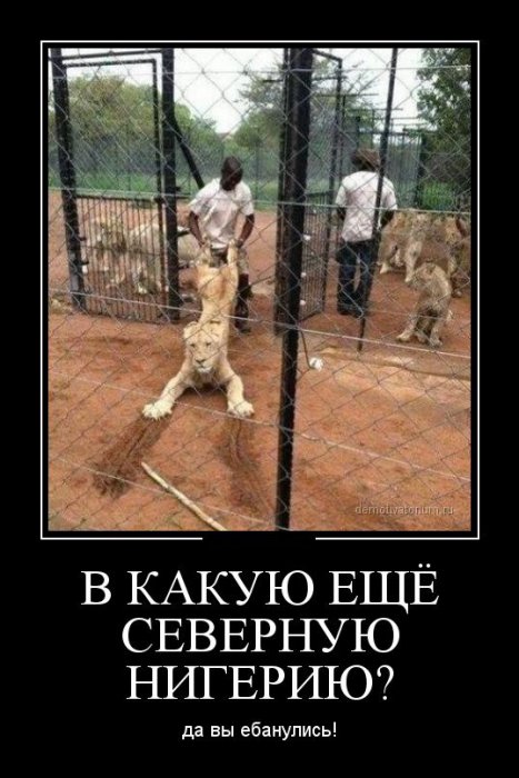 Демотиваторы (30 фото)