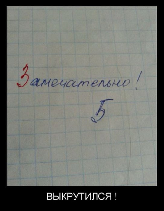 Демотиваторы (30 фото)