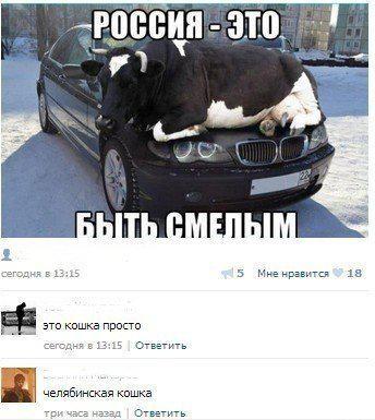 Смешные комментарии их социальных сетей