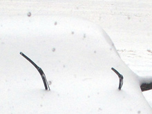 Дворники - прыгуны