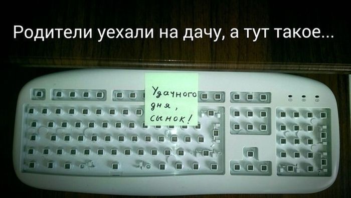 Забавные картинки