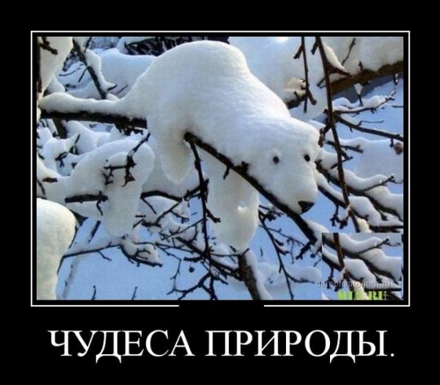 Демотиваторы (30 фото)