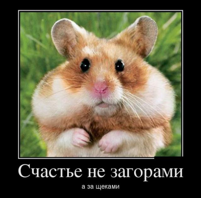 Демотиваторы (30 фото)
