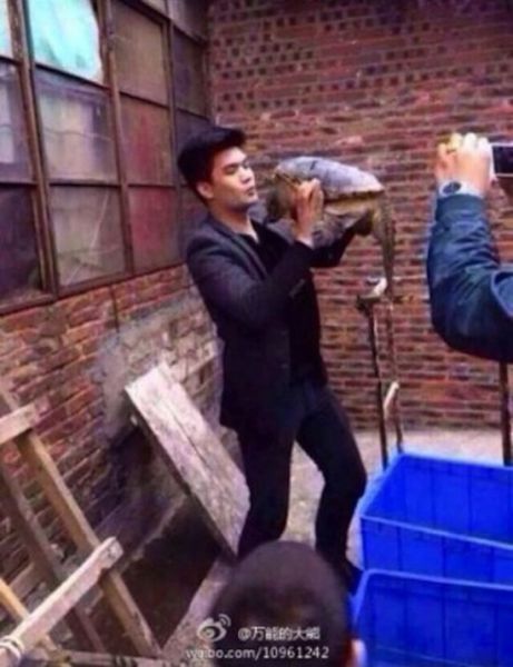 Поцеловал черепаху