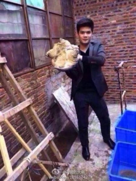 Поцеловал черепаху