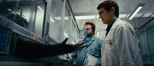 Фильм про бандер