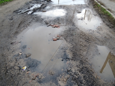 В дорожных ямах обвинили движение земной коры