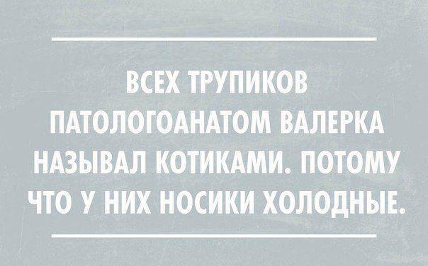 Забавные афоризмы