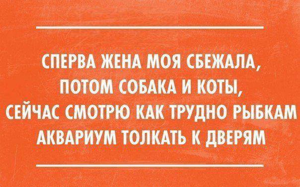 Забавные афоризмы