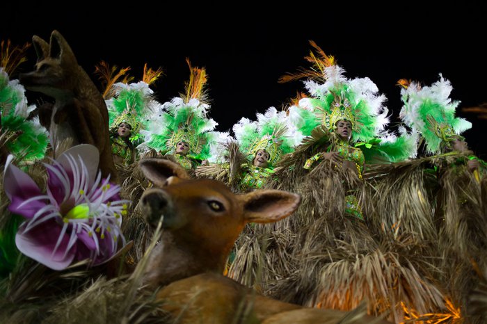 В Бразилии проходят карнавалы | 21 фото