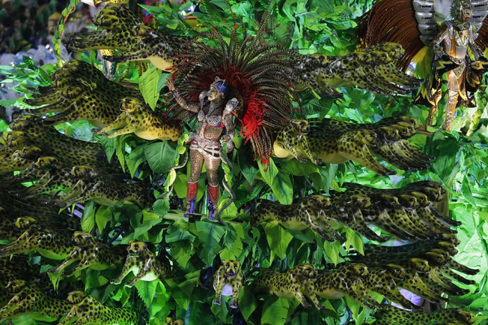 В Бразилии проходят карнавалы | 21 фото