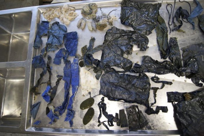 Почему умер медведь Антон?