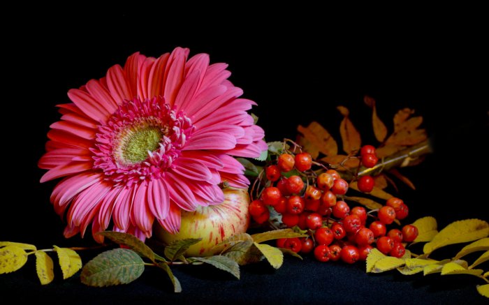 Обои на рабочий стол / Super Wallpapers P.132 by cepesh