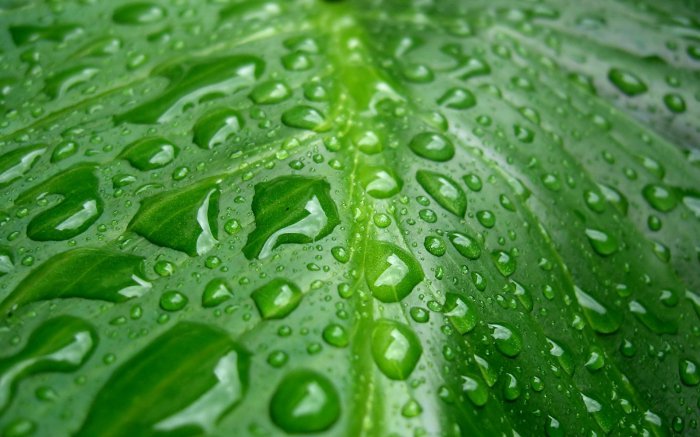 Обои на рабочий стол / Super Wallpapers P.132 by cepesh