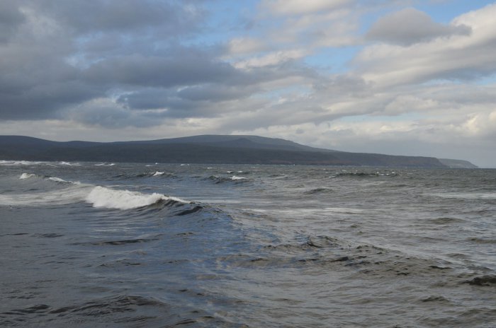 Россия знает, что делать с богатствами Охотского моря